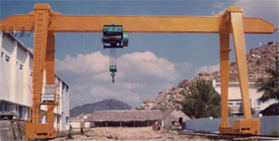 SINGLE GANTRY CRANES